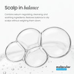 Sigma Oily Scalp Solution